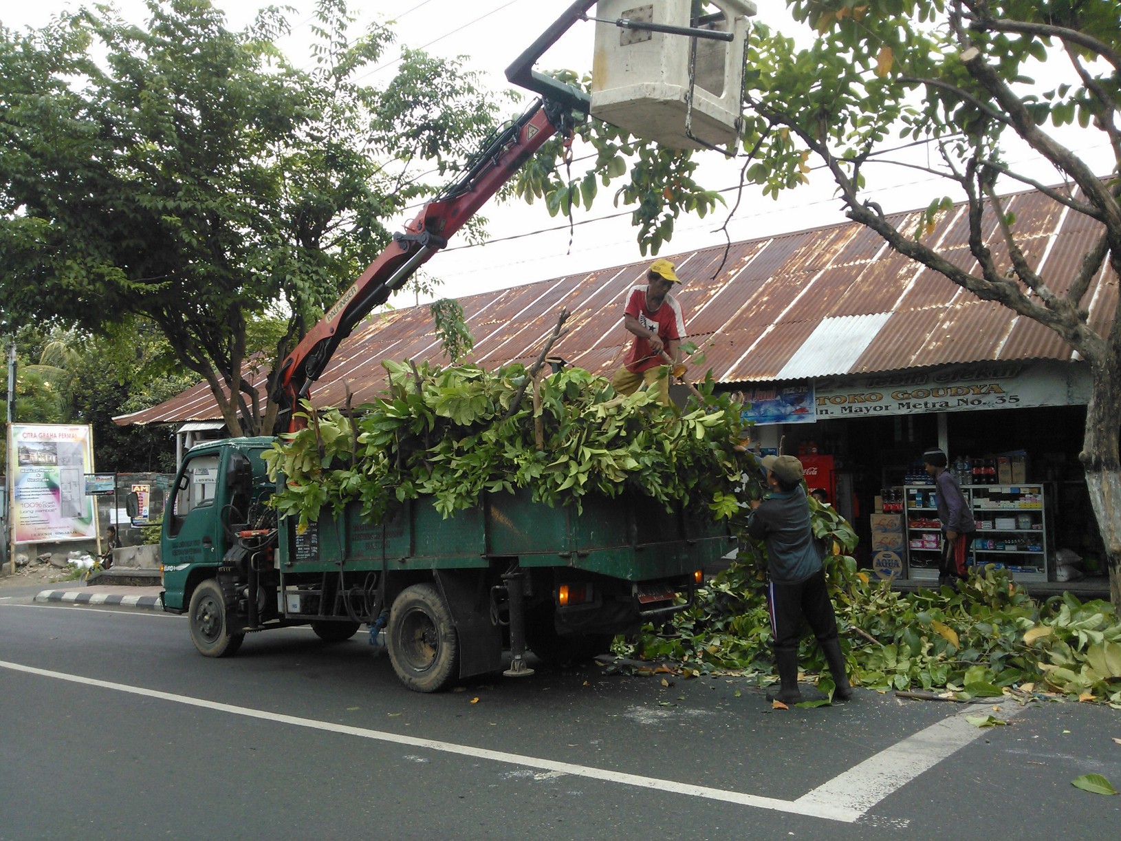 POHON PERINDANG: Tim dari Dinas Lingkungan Hidup (DLH) Buleleng melakukan pemangkasan pohon perindang di kawasan Kota Singaraja beberapa waktu lalu.