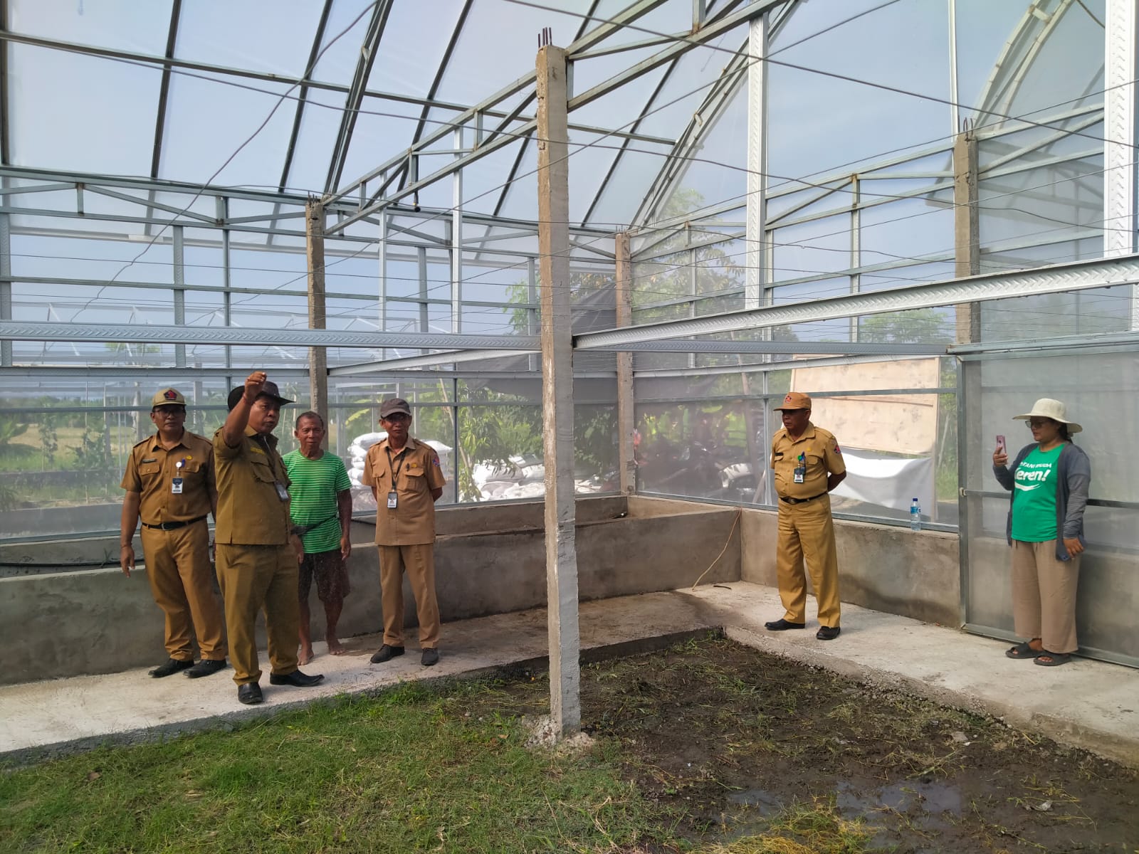 ANGGUR: Uji coba penanaman anggur di dalam rumah kaca. Rumah kaca itu dibangun di Desa Banjar, Buleleng.