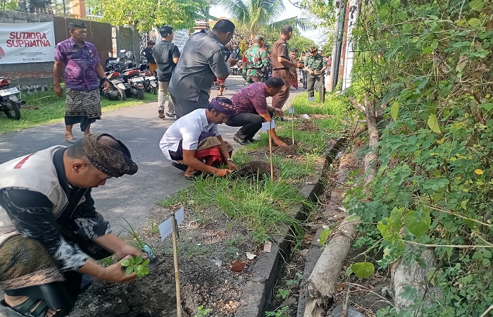 Aksi penanaman pohon yang dilakukan serentak bersamaan dengan pelantikan KPPS se-Kabupaten Buleleng. Tercatat KPPS di Buleleng sebanyak 8.211 orang.