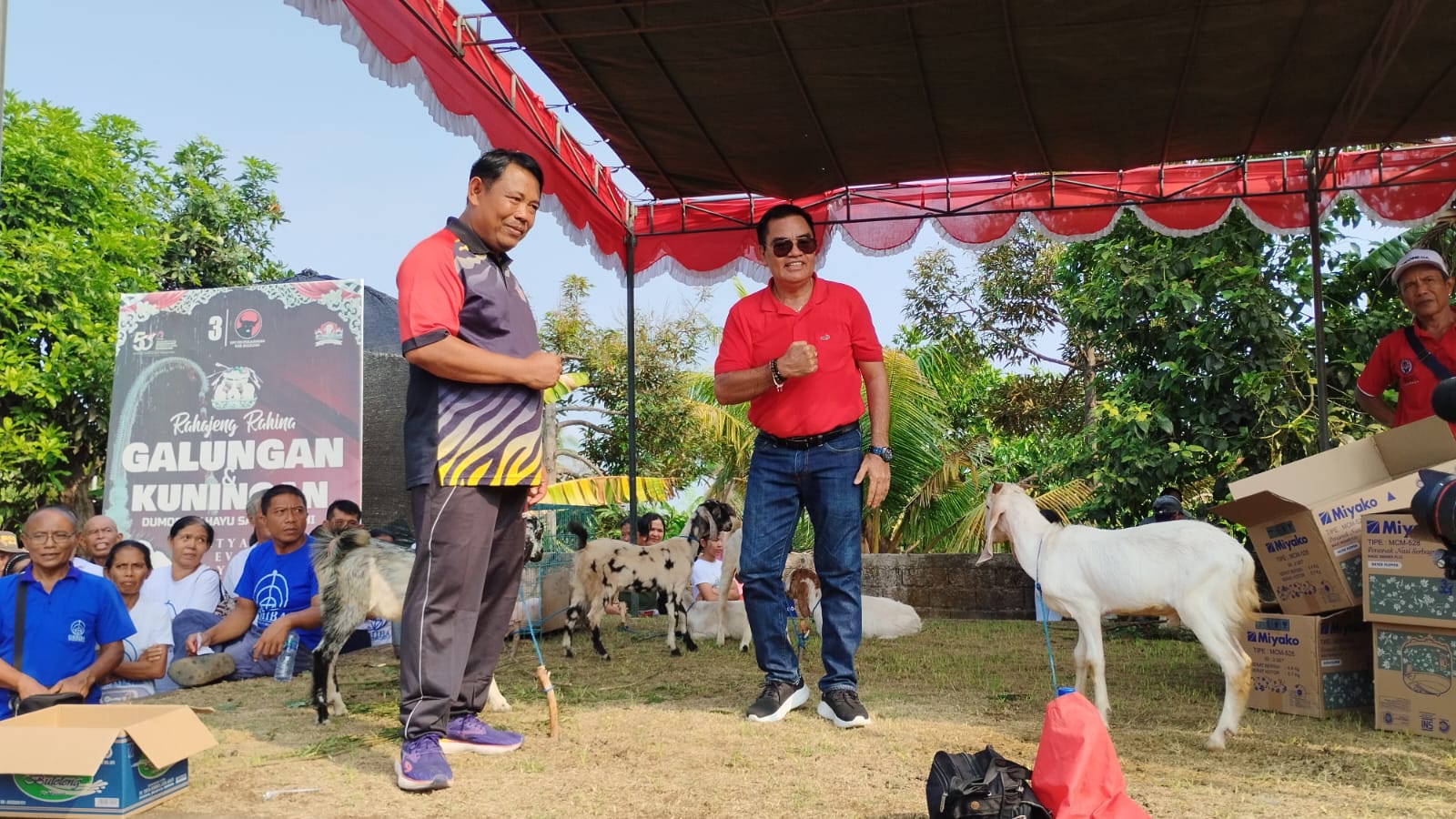 SYUKURAN: Anggota DPRD Buleleng, Wayan Some Adnyana (kiri) berbagi ternak kambing kepada pendukungnya.