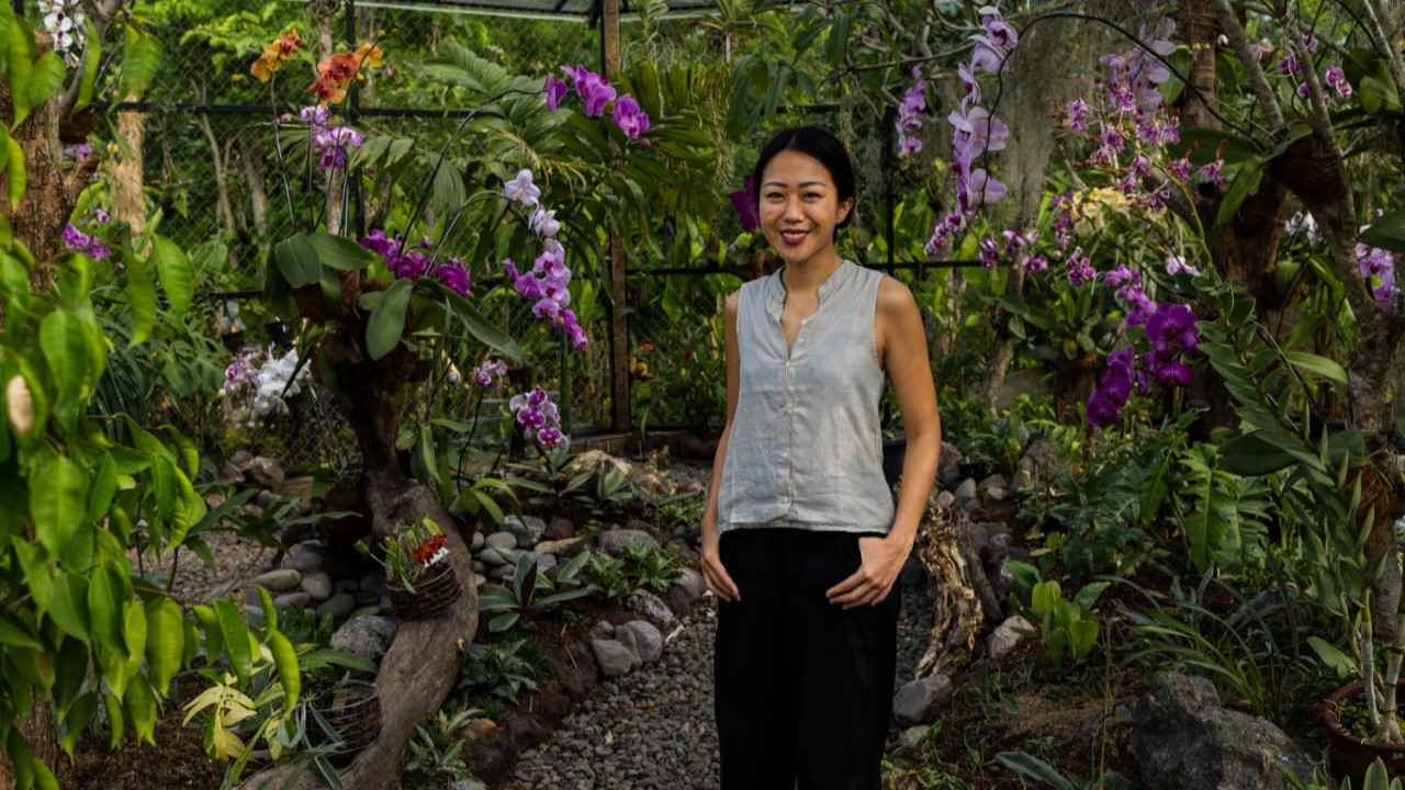 KEBUN ANGGREK: Suasana kebun anggrek di Magic Garden, Tabanan.