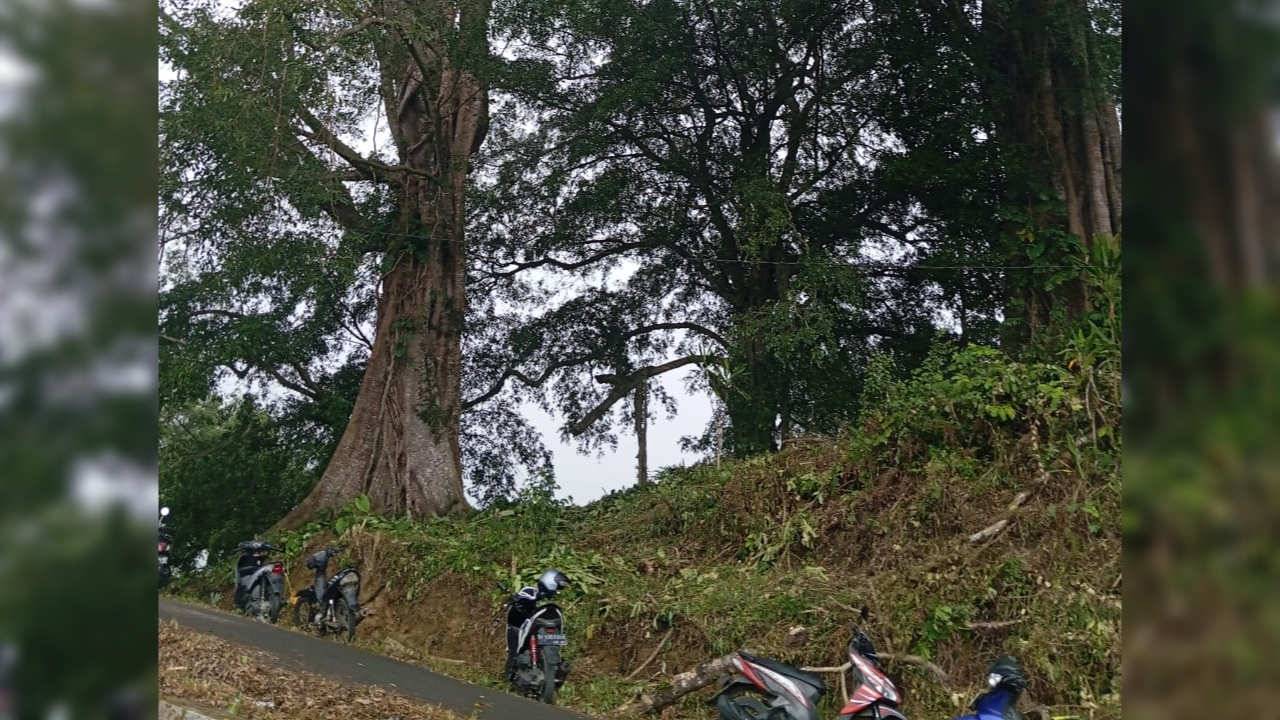 SAKRAL: Lokasi yang diyakini sebagai Pura Dalem Sakti di Desa Adat Mengandang, Kecamatan Kubutambahan.
