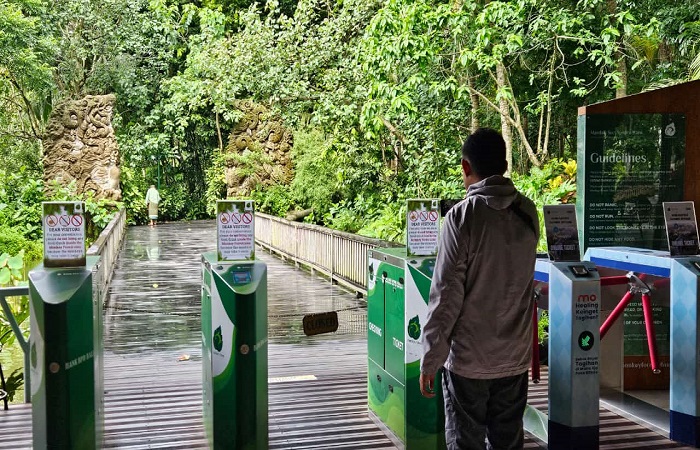 Objek wisata yang menawarkan panorama alam dan kera di Mongkey Forest Ubud tutup sementara hingga material pohon tumbang bersih.