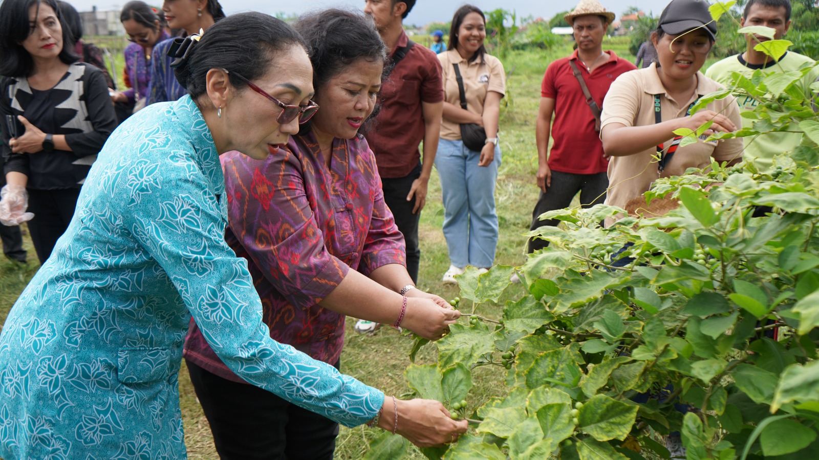 TUKAR PENGALAMAN: Ketua TP PKK Buleleng, Ny. Paramita Lihadnyana (kiri) dan Ketua TP PKK Klungkung, Ny. Wiryani Jendrika (kanan) saat berkunjung ke hutan kota Kelurahan Banyuasri.
