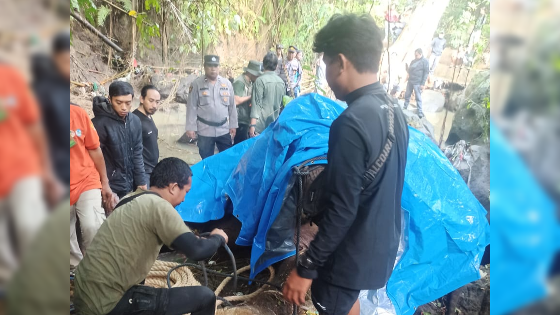 EVAKUASI: Proses evakuasi gajah yang ditemukan mati di Tukad Cengcengan.