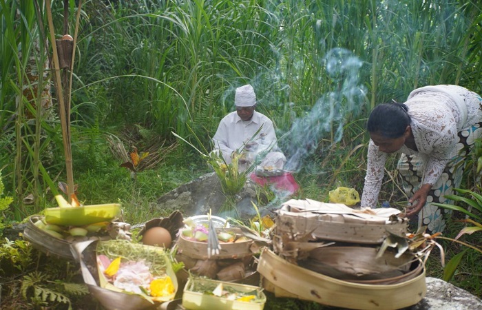 Suasana ritual Mapag Toya yang digelar oleh petani di tempek kedamian Subak Jatiluwih, Desa Jatiluwih, Penebel Tabanan.