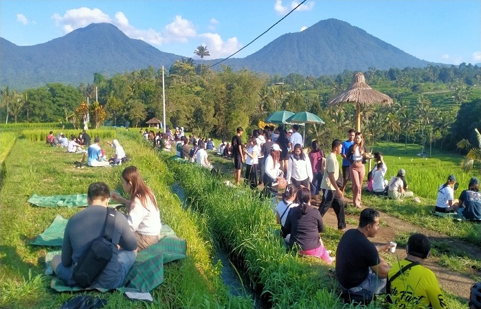 Suasana Nyarik Kopi yang berjualan dipinggir sawah di Subak Bangkyang Sidem, Desa Babahan Penebel Tabanan.
