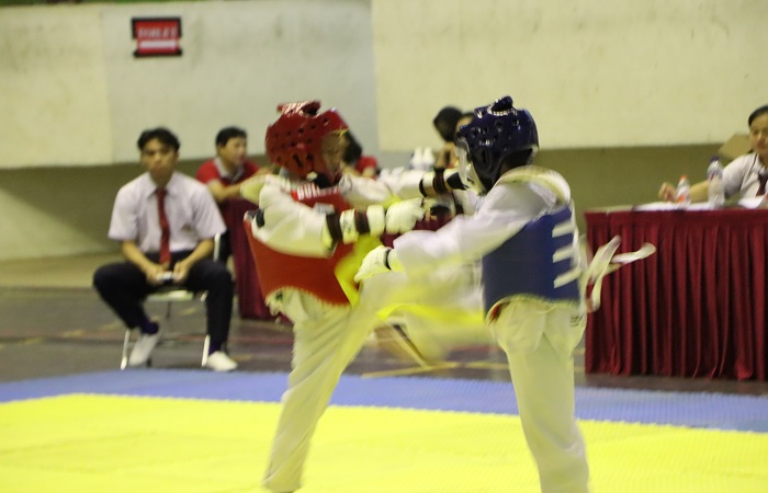 Suasana kejuaraan mandiri, Pengurus Kabupaten Taekwondo Indonesia (Pengkab TI) Buleleng menggelar Buleleng Cup 2024.