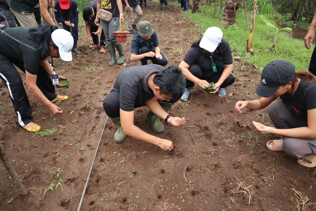 TANAM PADI GOGO: Proses penanaman padi gogo di Desa Bulian. Penanaman padi gogo diharapkan bisa meningkatkan produksi beras di Buleleng.