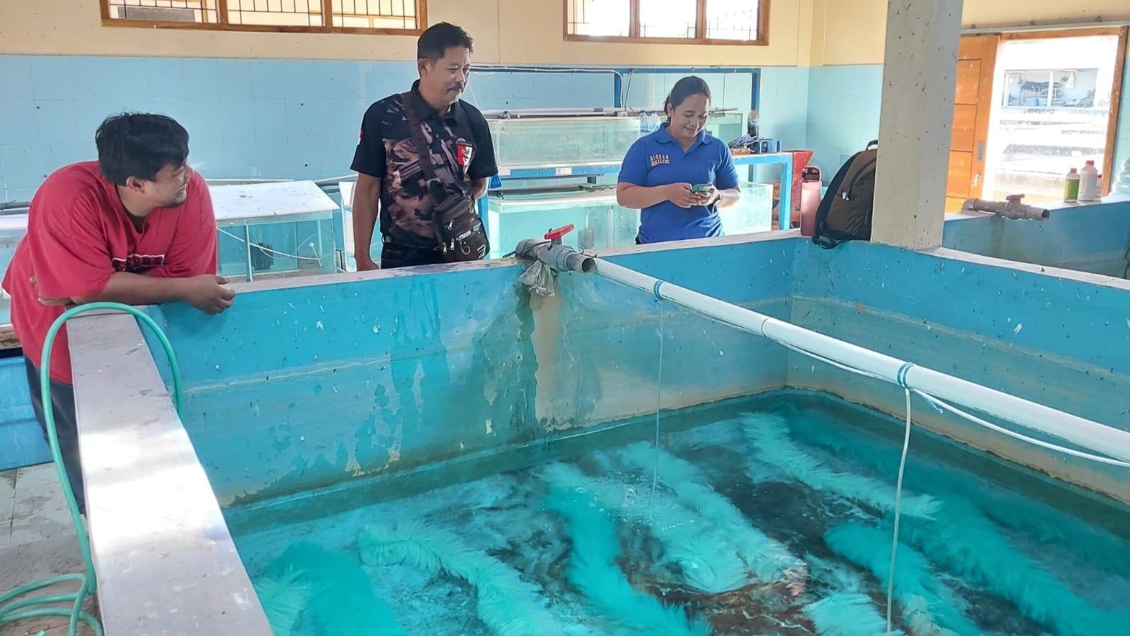 BENIH IKAN: Kondisi di Balai Benih Ikan Buleleng yang terletak di Desa Ringdikit.