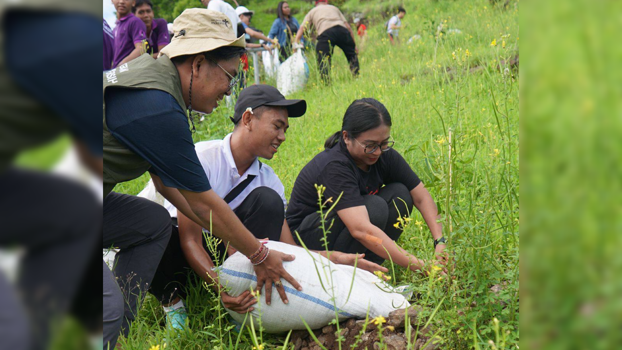 TANAM POHON: Dinas Pariwisata Buleleng melakukan aksi penanaman pohon beringin di kawasan Bukit Kursi, Desa Pemuteran, Gerokgak.