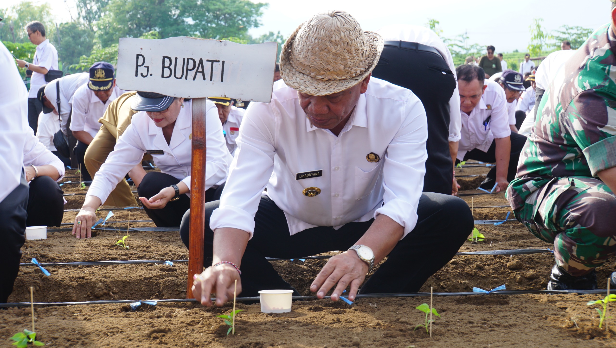 TANAM CABAI: Pj. Bupati Buleleng, Ketut Lihadnyana menanam bibit cabai di Hutan Kota Singaraja.
