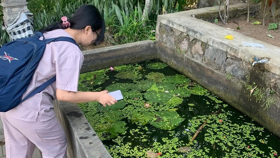 PANTAU JENTIK: Petugas jumantik dari Dinkes Buleleng tengah memantau jentik nyamuk di kolam salah seorang warga.
