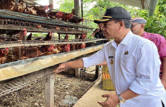 Harapan penyerapan telur ayam, yang dihasilkan oleh peternak lokal menjadi keinginan para peternak. Tentu ini juga untuk membantu roda perekonomian di Buleleng.