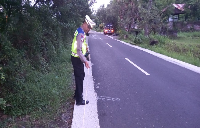 Polisi melakukan olah TKP di lokasi laka lantas. 2 sepeda motor ringsek, akibat adu jangkrik di Jalan Singaraja-Bebetin pada Sabtu (8/2) pagi. Akibatnya 1 orang harus meregang nyawa.