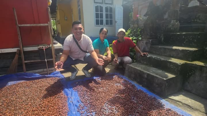KAKAO LOKAL: Pengusaha muda Tabanan sekaligus owner Cau Chocolate Kadek Surya Prasetya Wiguna (baju putih) yang menunjukkan biji buah kakao yang nanti diolah menjadi produk cokelat.