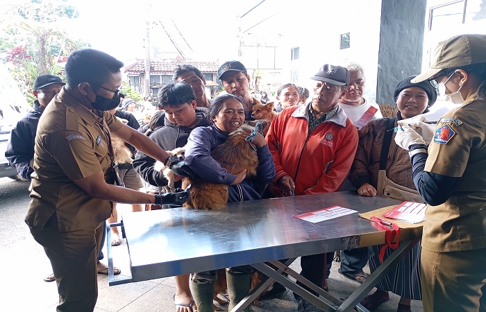 Ratusan anjing dan kucing di Desa Pancasari diberikan vaksin rabies. Ini dilakukan pasca kasus gigitan berujung kematian di Pasar Pancasari.