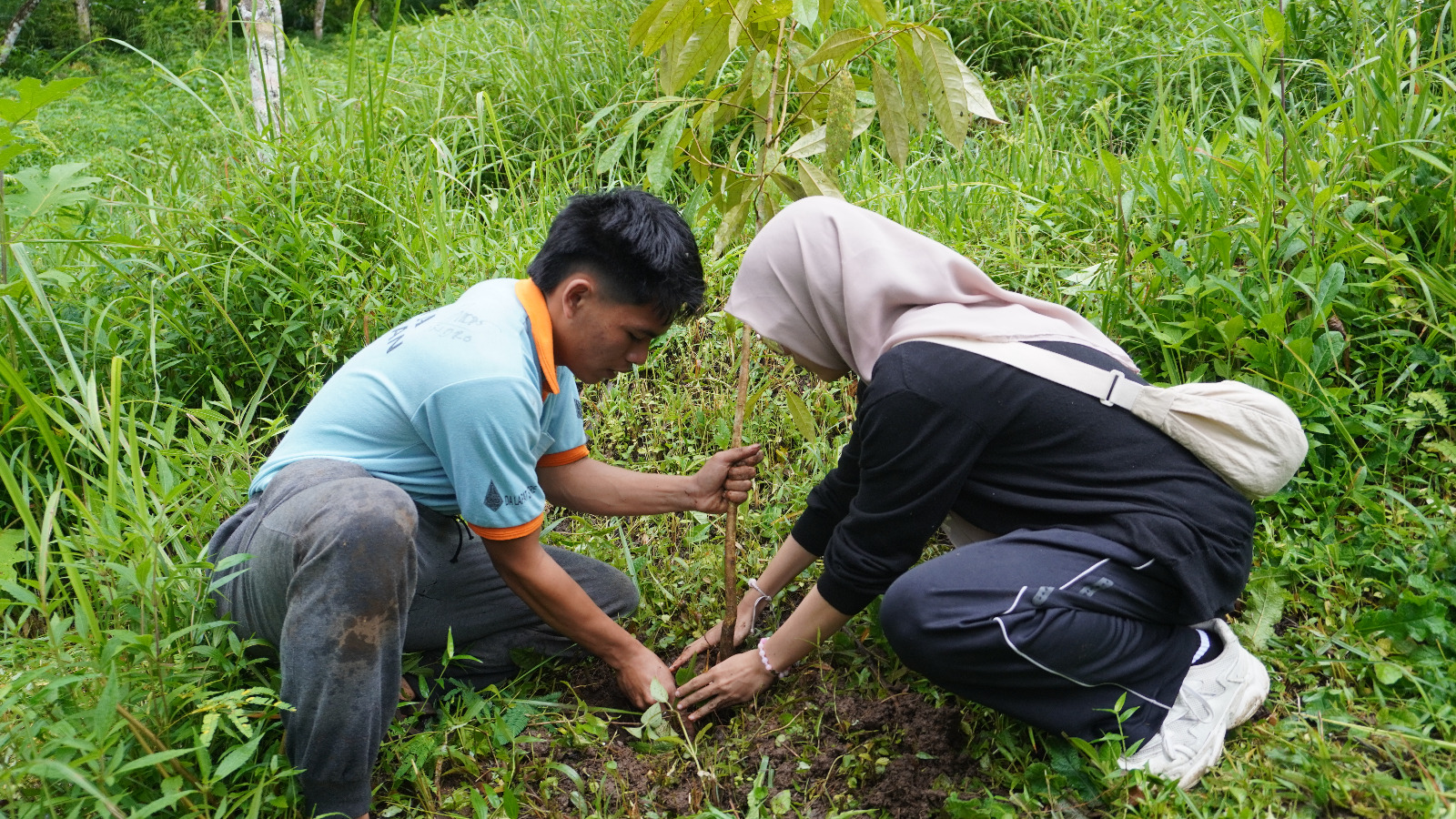 KONSERVASI: Upaya konservasi kawasan hulu Desa Pedawa dengan penanaman pohon. Aksi tersebut melibatkan mahasiswa dari Indonesia dan Jepang.