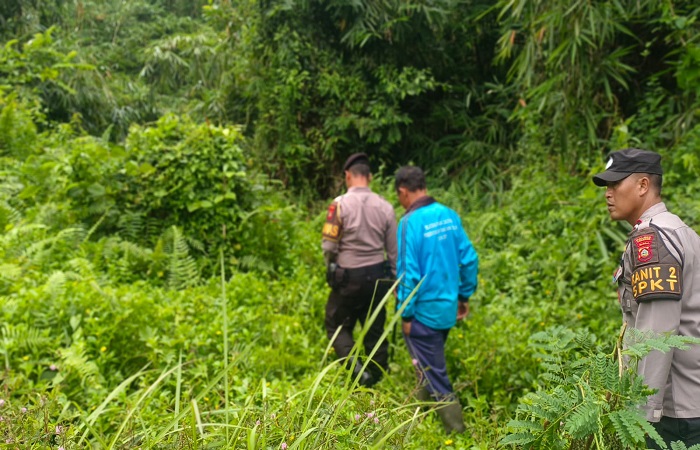 Pencarian korban lansia I Ketut Sudiarta yang hilang oleh warga dan petugas gabungan.