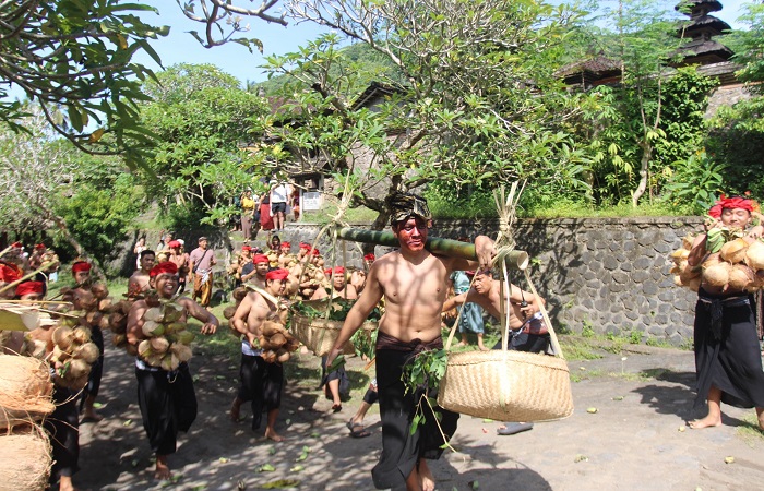 Tradisi mesabatan biu atau perang pisang Desa Tenganan Dauh Tukad yang digelar pada Selasa (15/4) kemarin.