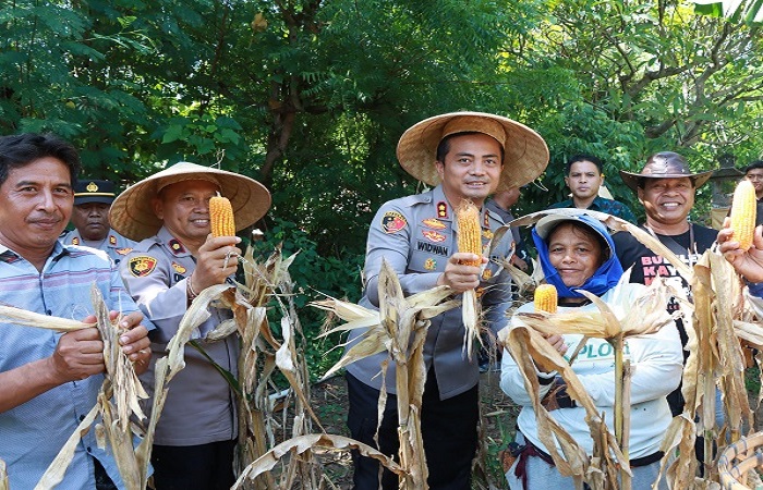 Polisi mendatangi petani jagung di wilayah Desa Pemuteran, Kecamatan Gerokgak, Kabupaten Buleleng didatangi polisi untuk memeriksa kebenaran informasi.