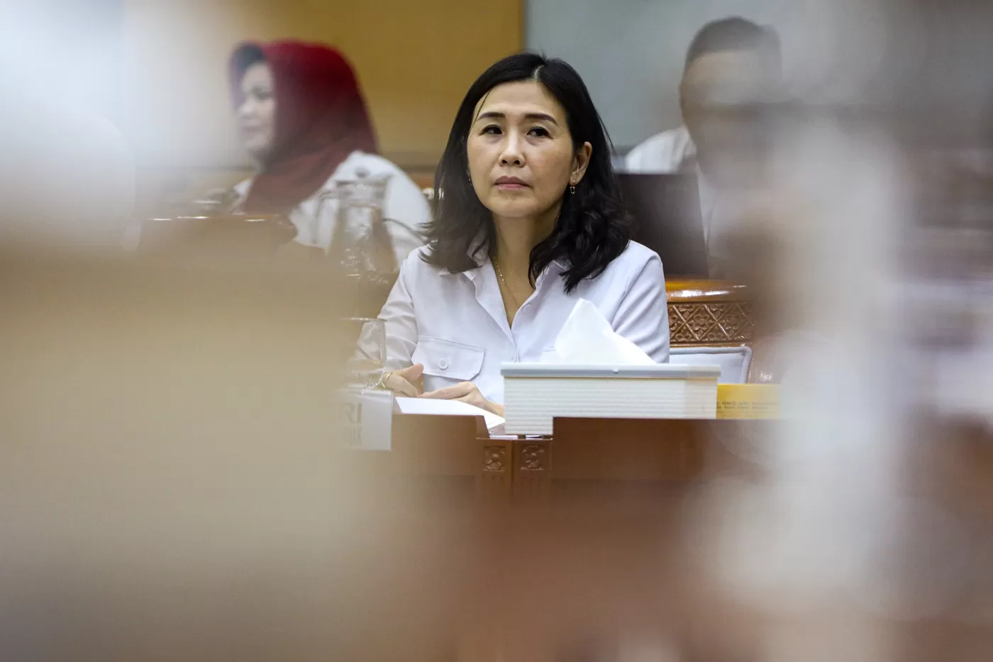 Wakil Menteri Pemberdayaan Perempuan dan Perlindungan Anak (PPPA), Veronica Tan.