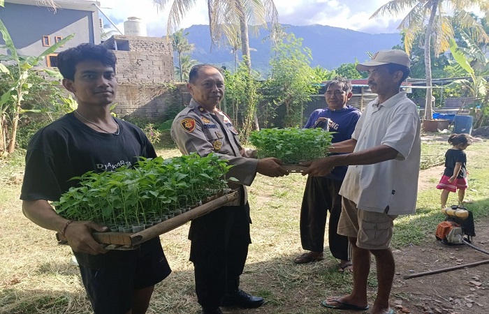 Polsek Gerokgak memberikan bantuan 200 bibit terong di wilayah Kecamatan Gerokgak, sebagai bentuk stimulus memberdayakan lahan kosong.