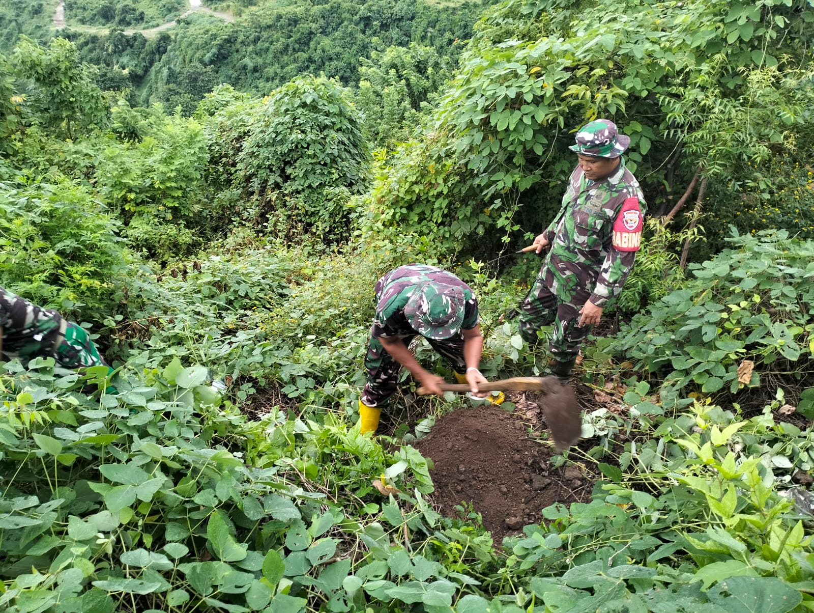 BUAT LUBANG: TNI membuat lubang tanam untuk pohon mangga, serangkaian TMMD Buleleng.