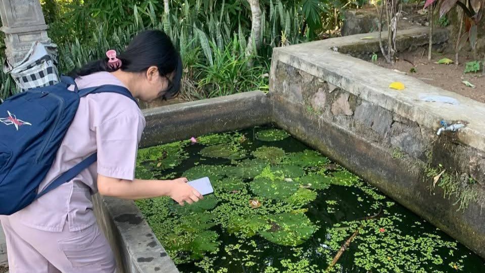 PANTAU JENTIK: Petugas puskesmas di Buleleng melakukan pemantauan jentik nyamuk. Hal itu dilakukan untuk mencegah kasus demam berdarah.