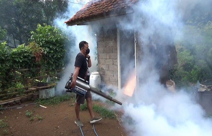 Mencegah DBD tidak hanya dengan fogging saja, namun ada juga 3M Plus. Ini menandakan banyak cara untuk mencegah penyakit musiman tersebut.