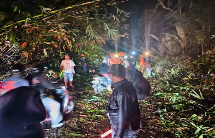 BPBD Tabanan melakukan penanganan evakuasi bencana pohon bambu tumbang di Jalan Pupuan-Antosari.