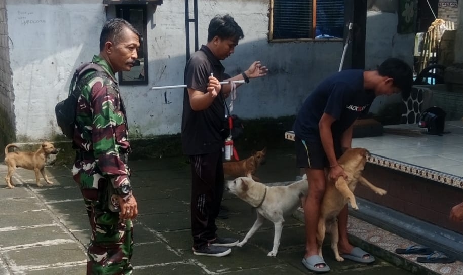 SUNTIK DULU: Vaksinasi rabies pada anjing peliharaan warga.