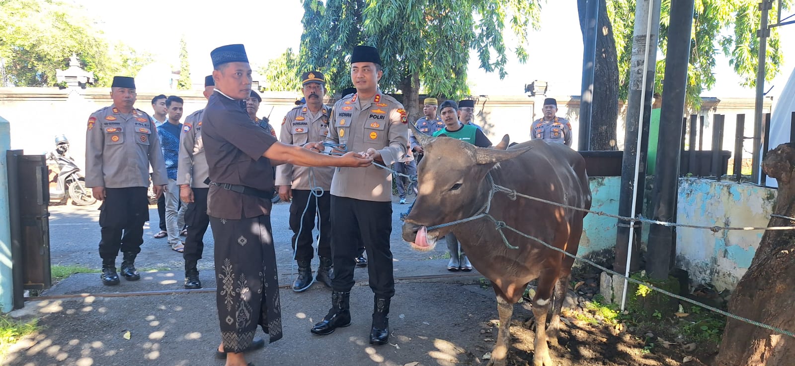 SERAHKAN SAPI: Kapolres Buleleng, AKBP Ida Bagus Widwan sutadi menyerahkan sapi sebagai sarana kurban umat muslim. Dagingnya dibagikan kepada umat muslim yang tidak mampu.