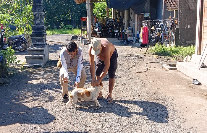 Vaksinasi anjing di Banjar Sumbersari, Desa Melaya, Rabu (4/6) lalu.