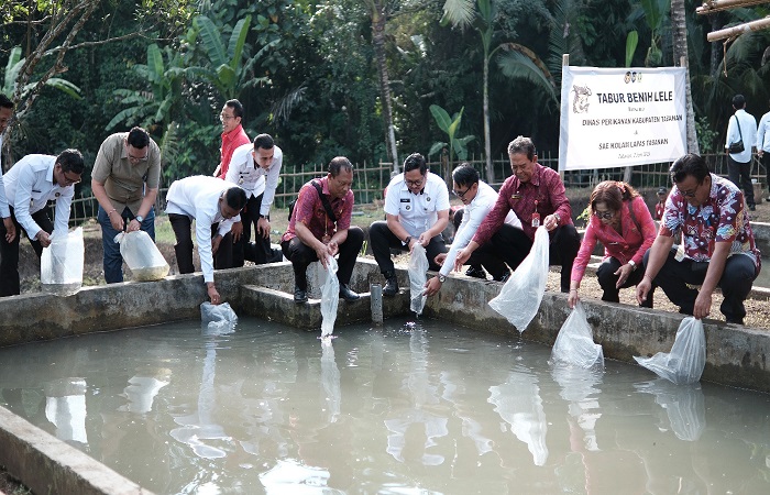 Suasana penebaran bantuan bibit ikan air tawar di Kolam Lapas Kelas IIB Tabanan.