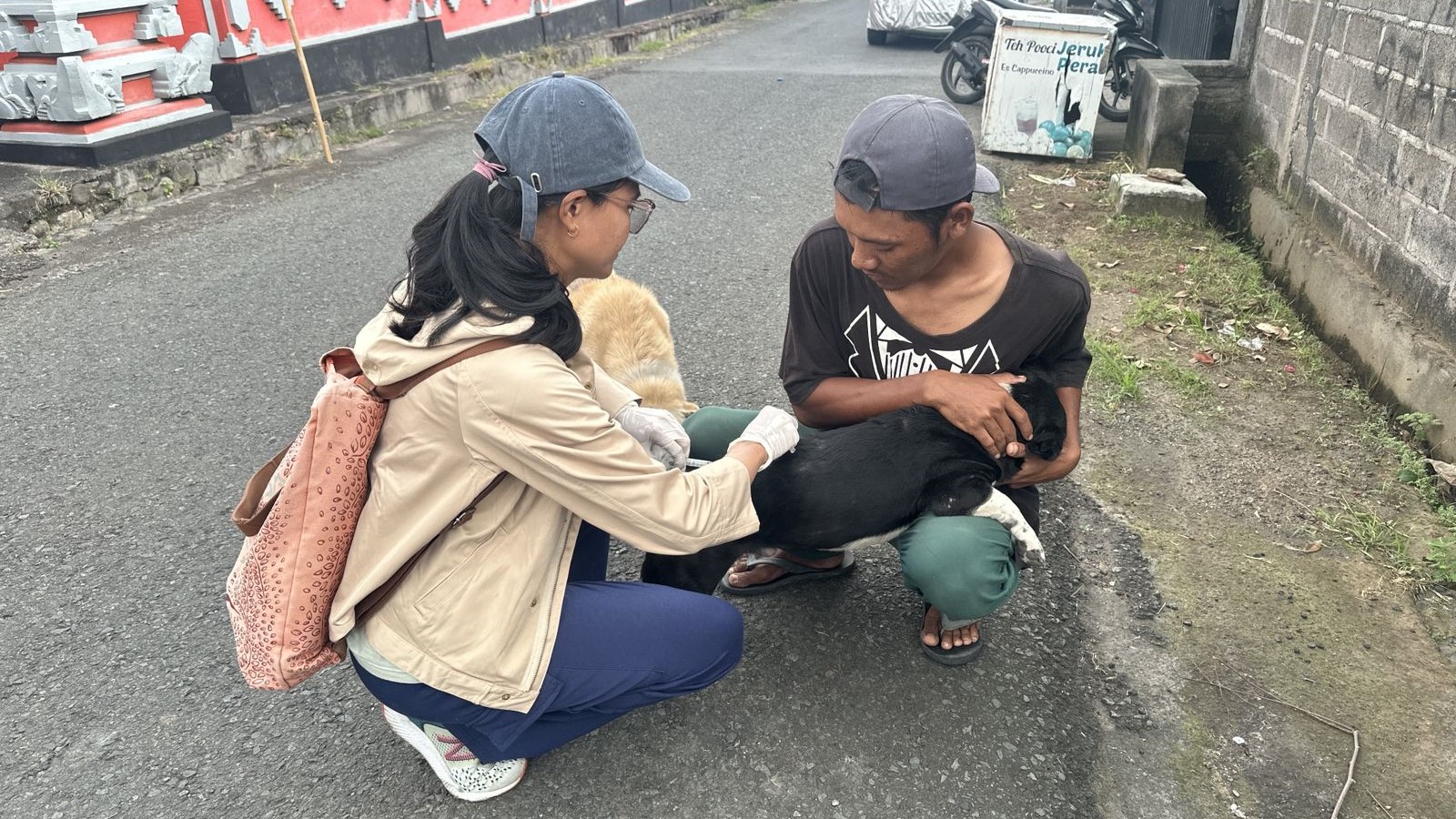 VAKSIN: Petugas Dinas Pertanian Buleleng melakukan vaksinasi terhadap anjing warga di Desa Kalisada, Buleleng.