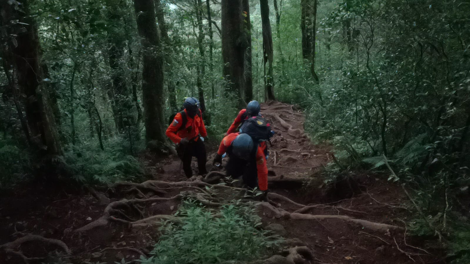 PENCARIAN: Tim SAR melakukan pencarian terhadap empat orang remaja yang tersesat di Gunung Batukaru.