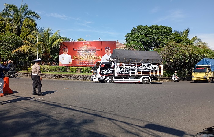 Situasi pengalihan arus lalu lintas di Kota Singaraja, imbas dari dialihkannya kendaraan dari Jalur Denpasar-Gilimanuk.