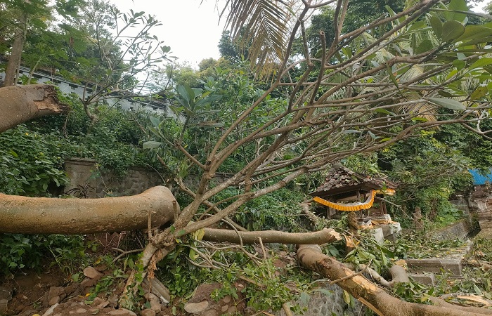 Kondisi dua pelinggih di areal Pura Penataran Agung Jeroan, Banjar Kebon, Desa Kertamandala, Kecamatan Abang, rusak usai tertimpa dahan pohon, Selasa (8/7)lalu.