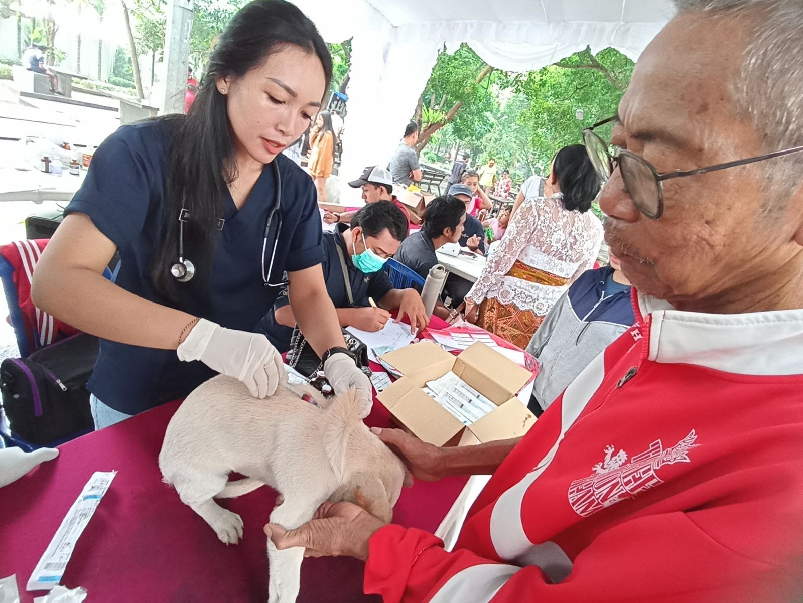 VAKINASI: Proses vaksinasi terhadap anjing peliharaan warga di Denpasar.