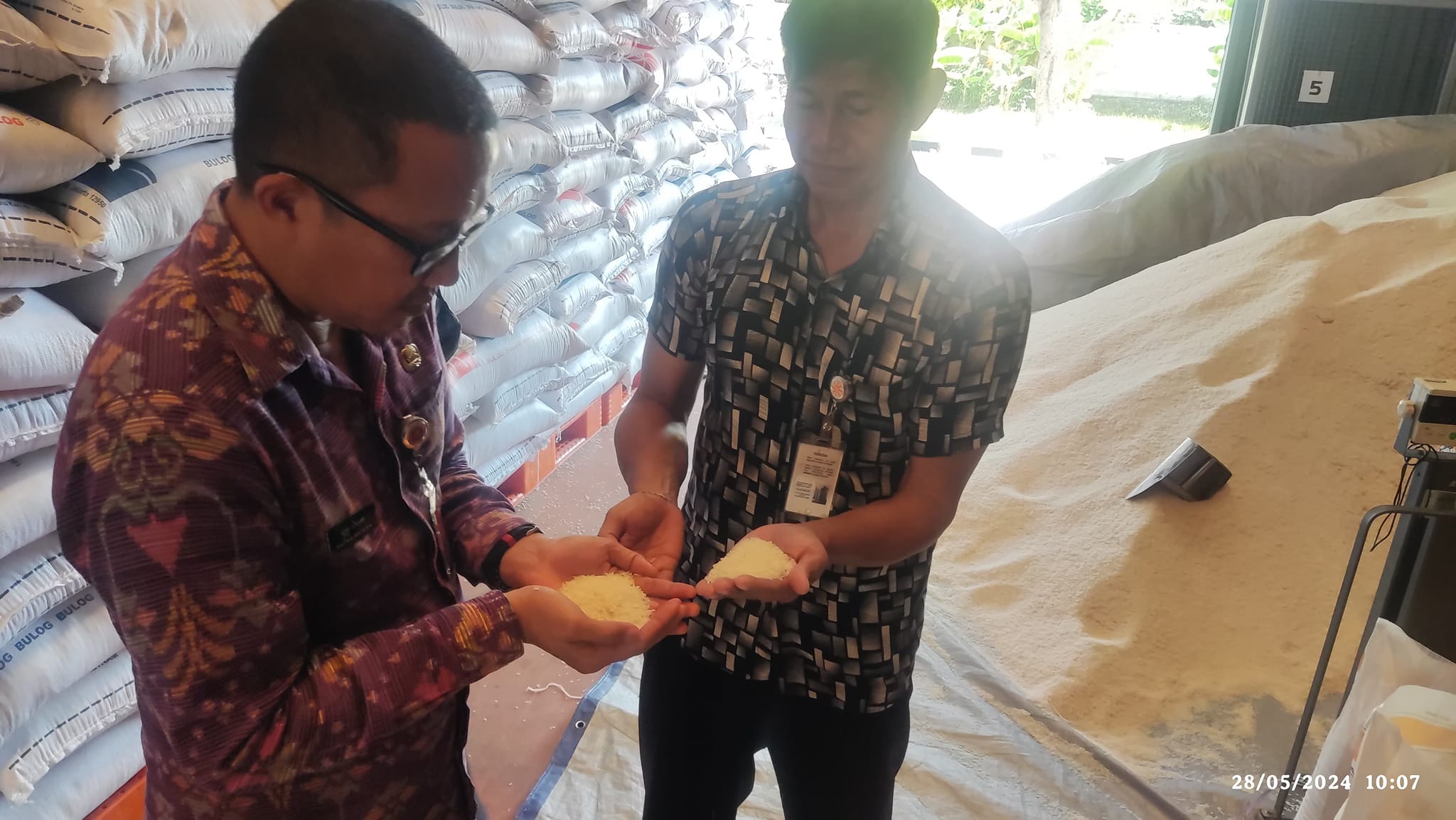PASTIKAN KUALITAS: Pengecekan kualitas beras di Gudang Bulog Tangguwisia, Buleleng.