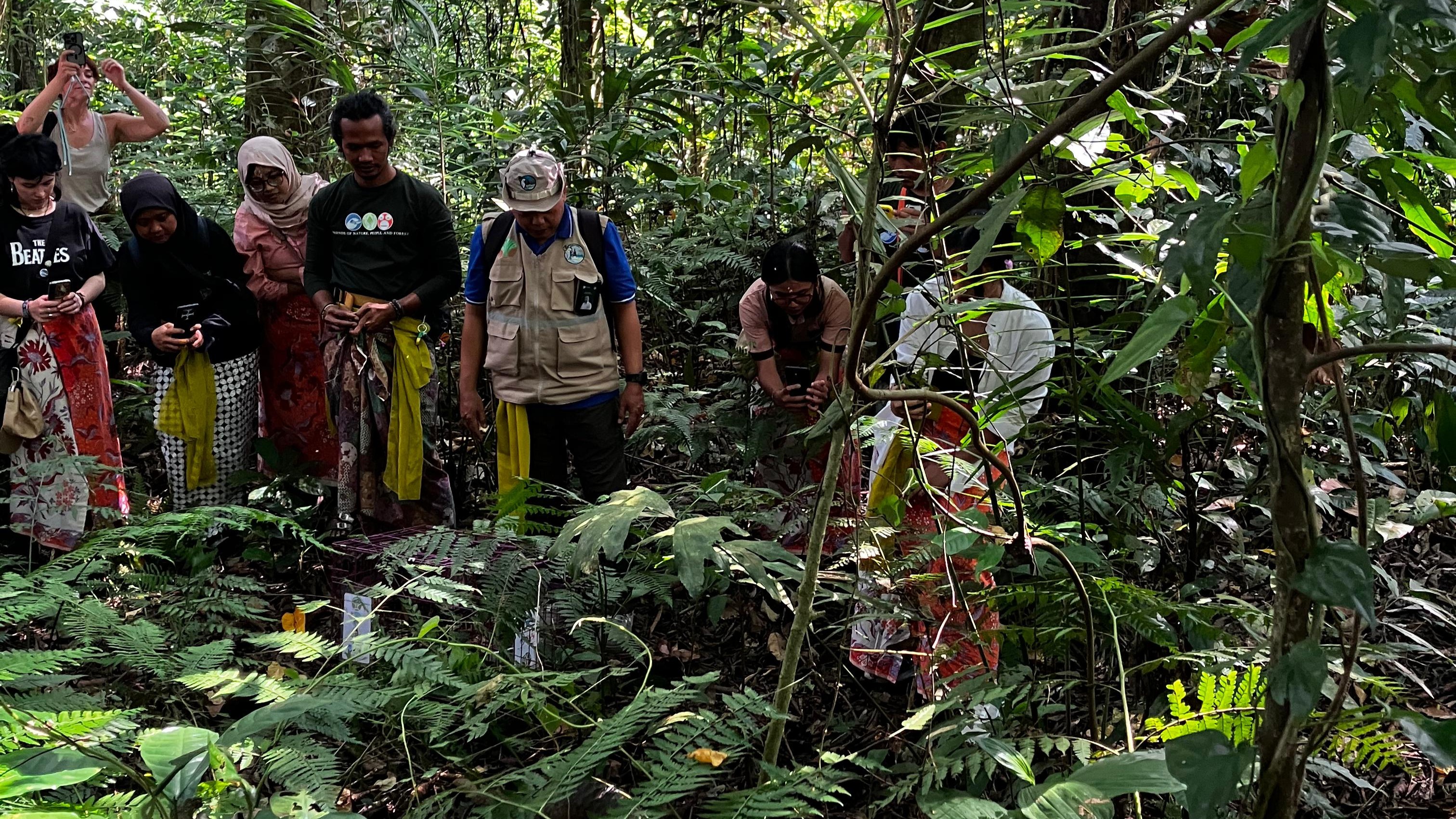 LEPAS LIAR: Proses pelepasliaran landak di kawasan Pura Besikalung, Bali.