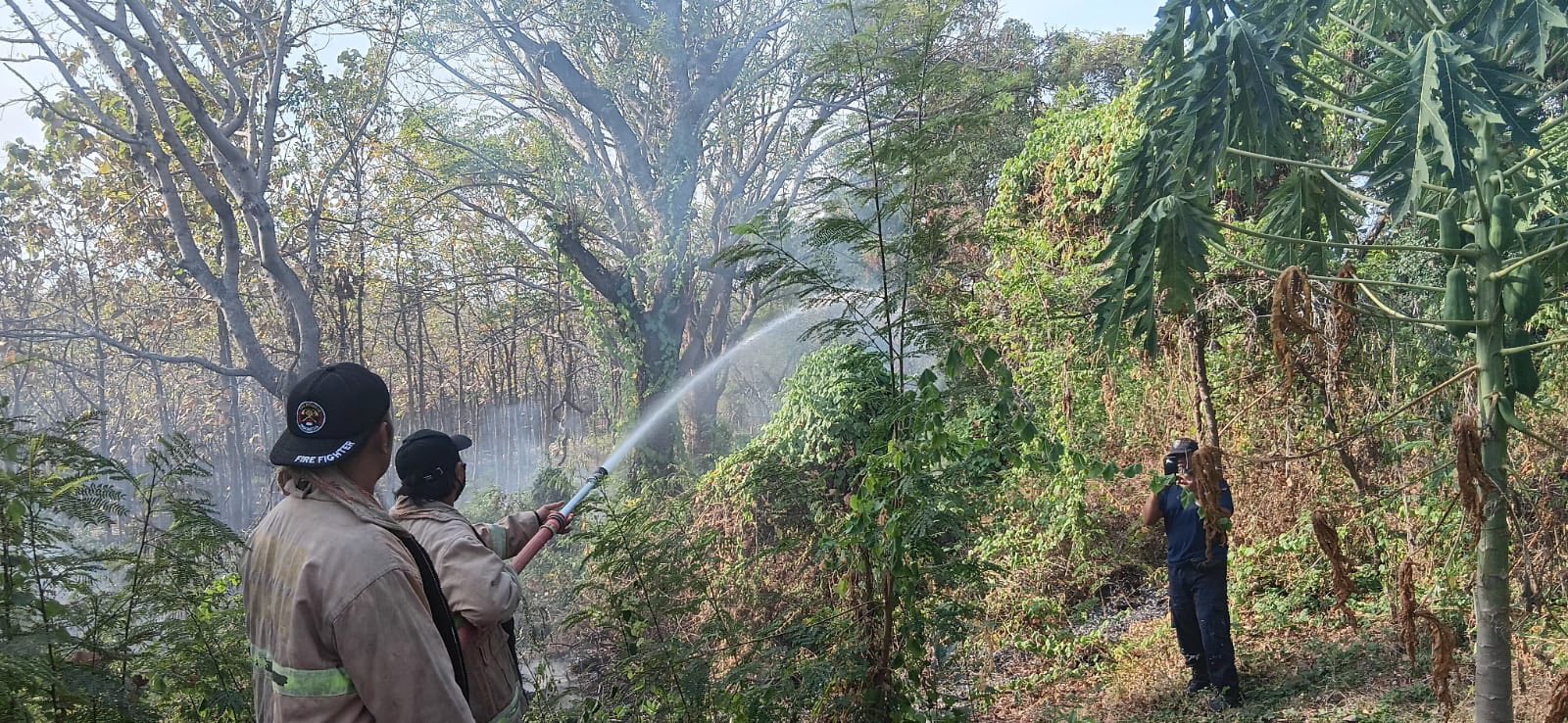 KEBAKARAN LAHAN: Petugas Pemadam Kebakaran memadamkan api dampak kebakaran lahan yang terjadi di Desa Kubutambahan, Buleleng.