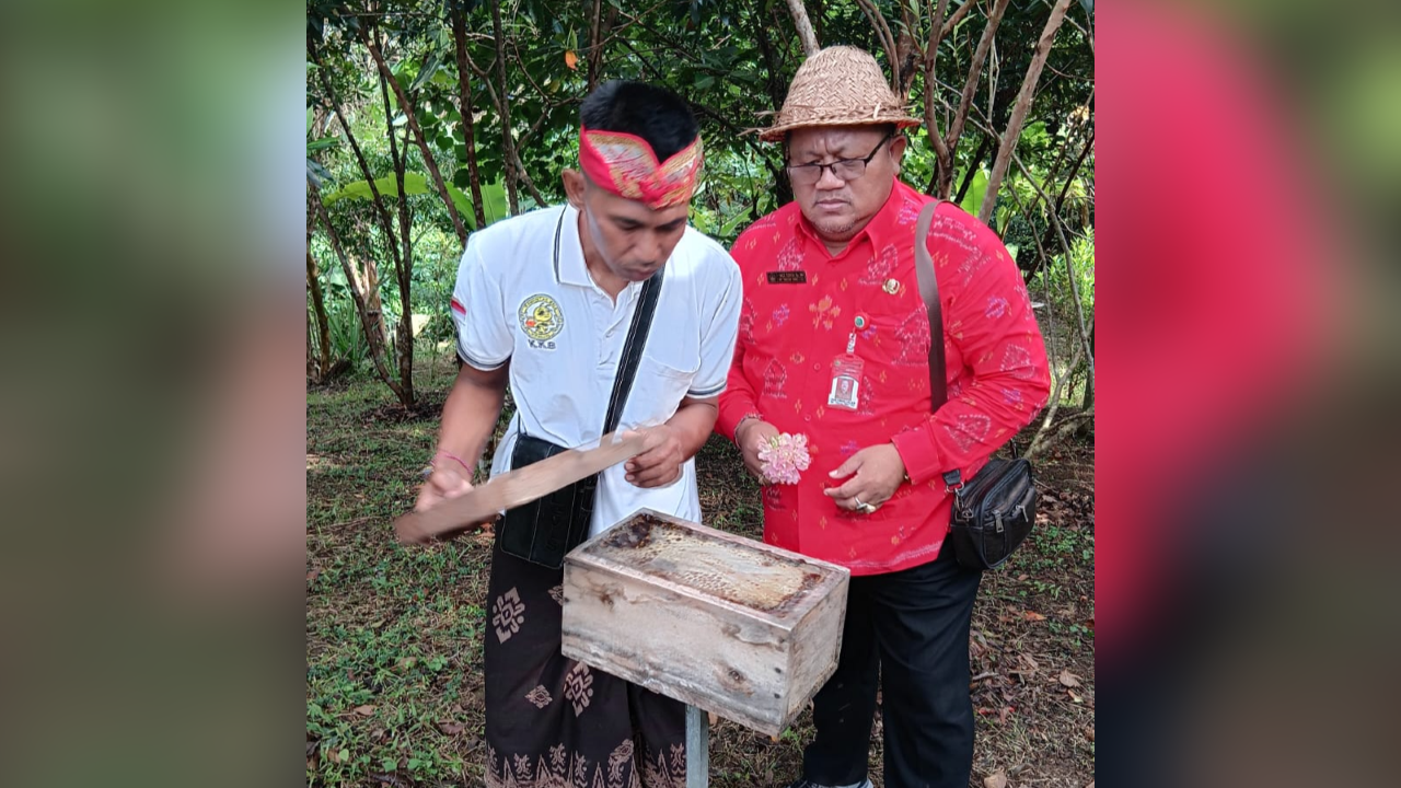 CUAN: Salah seorang petani yang melakukan budidaya lebih trigona.