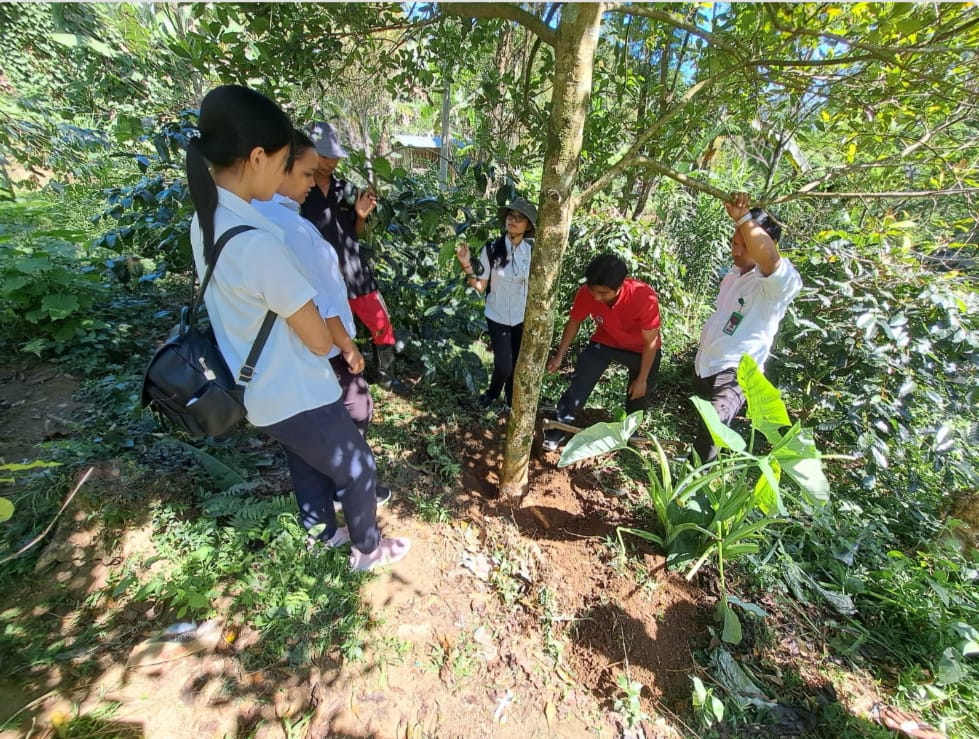 CEK LAHAN: Pengecekana lahan pertanian kopi di Desa Lemukih untuk mengidentifikasi keunikan komoditas Kopi Lemukih.