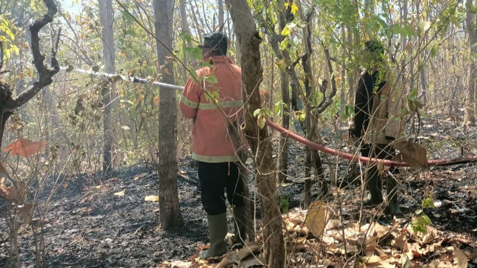 KEBAKARAN LAHAN: Dinas Pemadam Kebakaran Buleleng memadamkan api yang membakar lahan perkebunan milik warga. Sepanjang kemarau ini, ancaman kebakaran hutan dan lahan terbuka lebar.