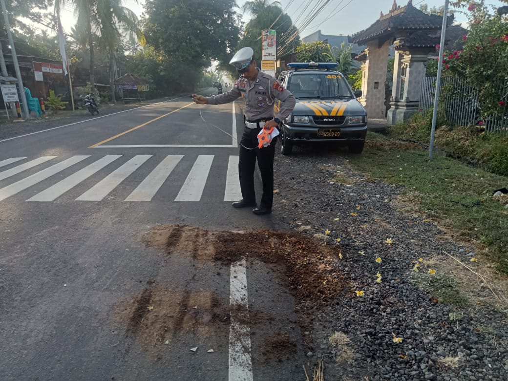 OLAH TKP: Polisi melakukan olah TKP kecelakaan lalu lintas yang menyebabkan seorang petani tewas.