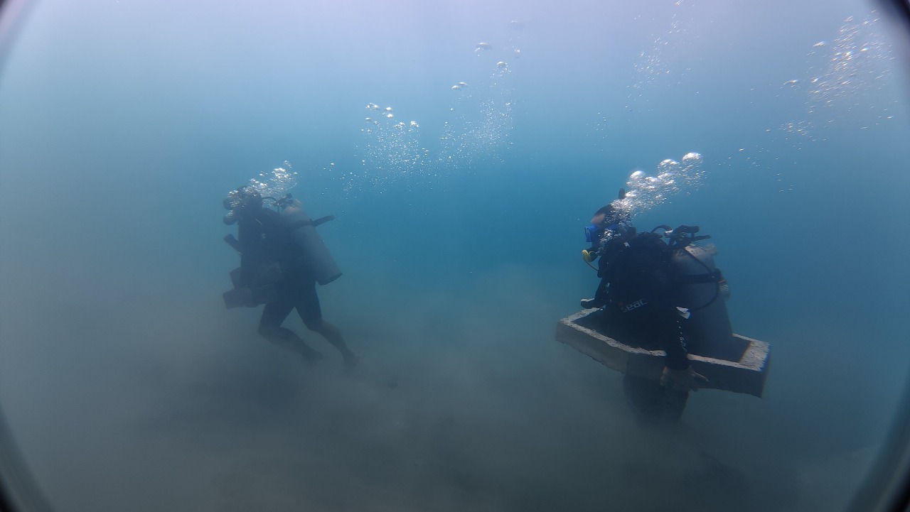 KONSERVASI: Para penyelam menanam struktur abtralo untuk menumbuhkan padang lamun. Hal tersebut merupakan upaya konservasi perairan di kawasan Bali Utara.