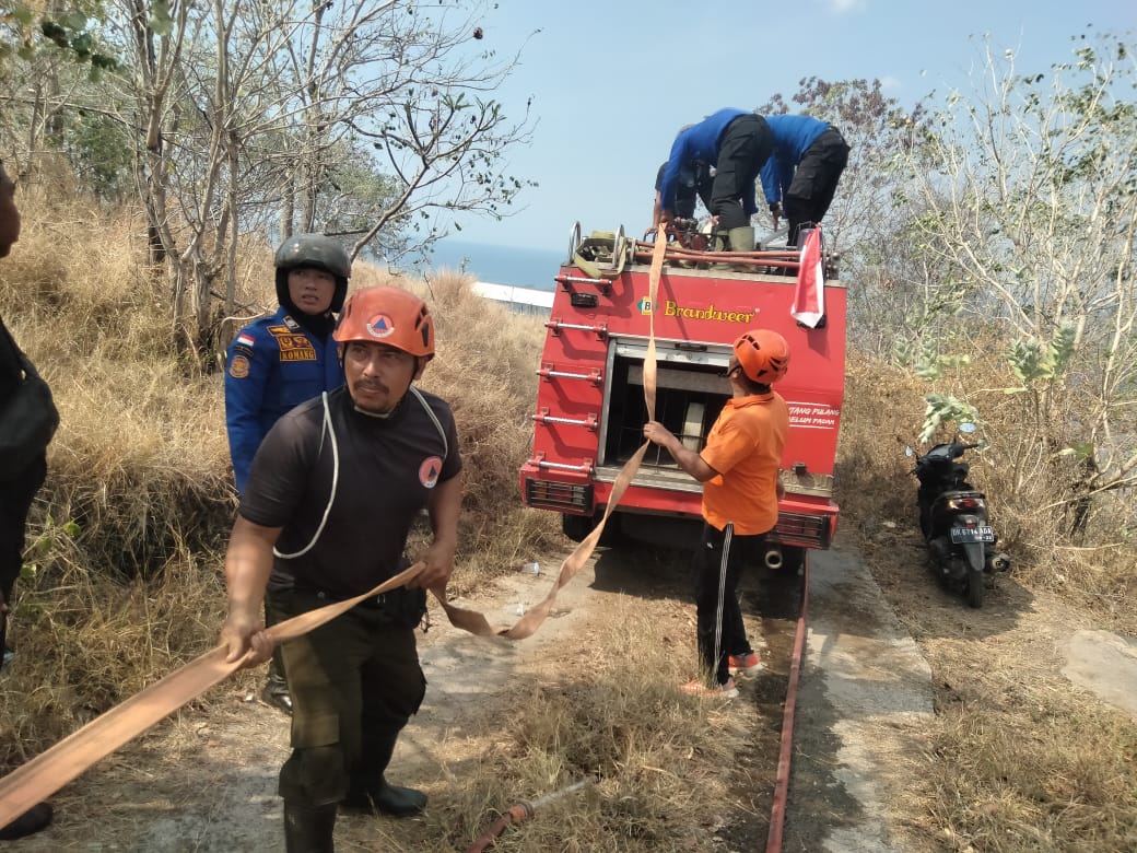 PADAMKAN API: Petugas pemadam kebakaran berjibaku memadamkan api di kawasan Desa Sumberkima, Kabupaten Buleleng, Bali.