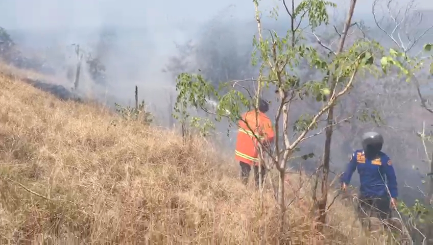 KEBAKARAN: Pasukan Pemadan Kebakaran Buleleng memadamkan api yang melahap kawasan hutan di Desa Sumberkima, Kecamatan Gerokgak.